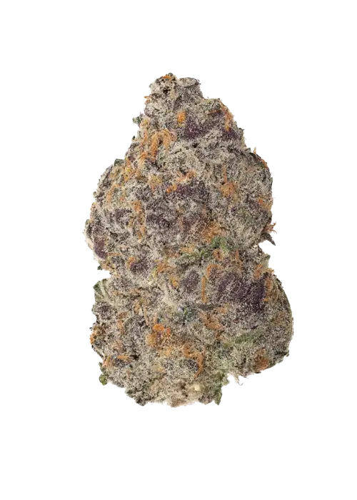 Carbon Clair, tatlı orman meyveleri aroması ve yüksek THC içeriğiyle öne çıkan Indica baskın bir türdür. Genetik yapısını ve potansiyel faydalarını keşfedin.