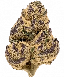 Caribbean Breeze, tatlı tropikal aroması ve THC oranıyla öne çıkan bir sativa türüdür. Canlandırıcı etkilerini keşfedin ve genetik yapısını görüntüleyin.