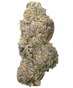 Cascade Honey, bal ve narenciye aromalarıyla öne çıkan güçlü bir hibrit türdür. Enerjik ve mutlu edici etkileriyle bilinir. Genetik yapısını keşfedin.