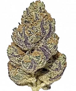 Casey Jones, yakıtımsı ve narenciye aromalarıyla bilinen, enerji verici bir Sativa türüdür. Yüksek THC içeriğiyle öne çıkar. Eşsiz genetik yapısını keşfedin.