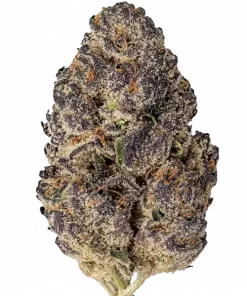 Casino Kush, yakıtımsı aroması ve yüksek THC içeriğiyle öne çıkan Indica dominant bir türdür. Derin rahatlama ve potansiyel faydalarını keşfedin.