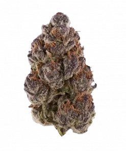 Cataract Cake, tatlı ve topraksı aromaları ile öne çıkan Indica baskın bir türdür. Uyku sorunları için ideal. Genetik yapısını keşfedin ve detayları görüntüleyin.