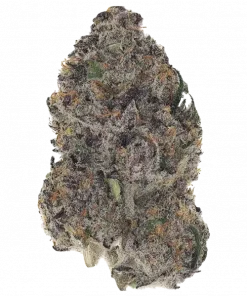 Category 5, yakıtımsı aroması ve rahatlatıcı etkileriyle bilinen Indica baskın bir türdür. Yüksek reçine üretimiyle öne çıkar. Genetik yapısını keşfedin.