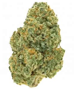 Catfish, şekerli ve yakıtımsı aromalarıyla öne çıkan güçlü bir türdür. 'ya varan THC içeriğiyle derin rahatlama sağlar. Bu eşsiz türü keşfedin.