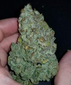 CBD 1:1 (CBD Crack) Auto Fem Esrar Tohumu (Fast Buds)