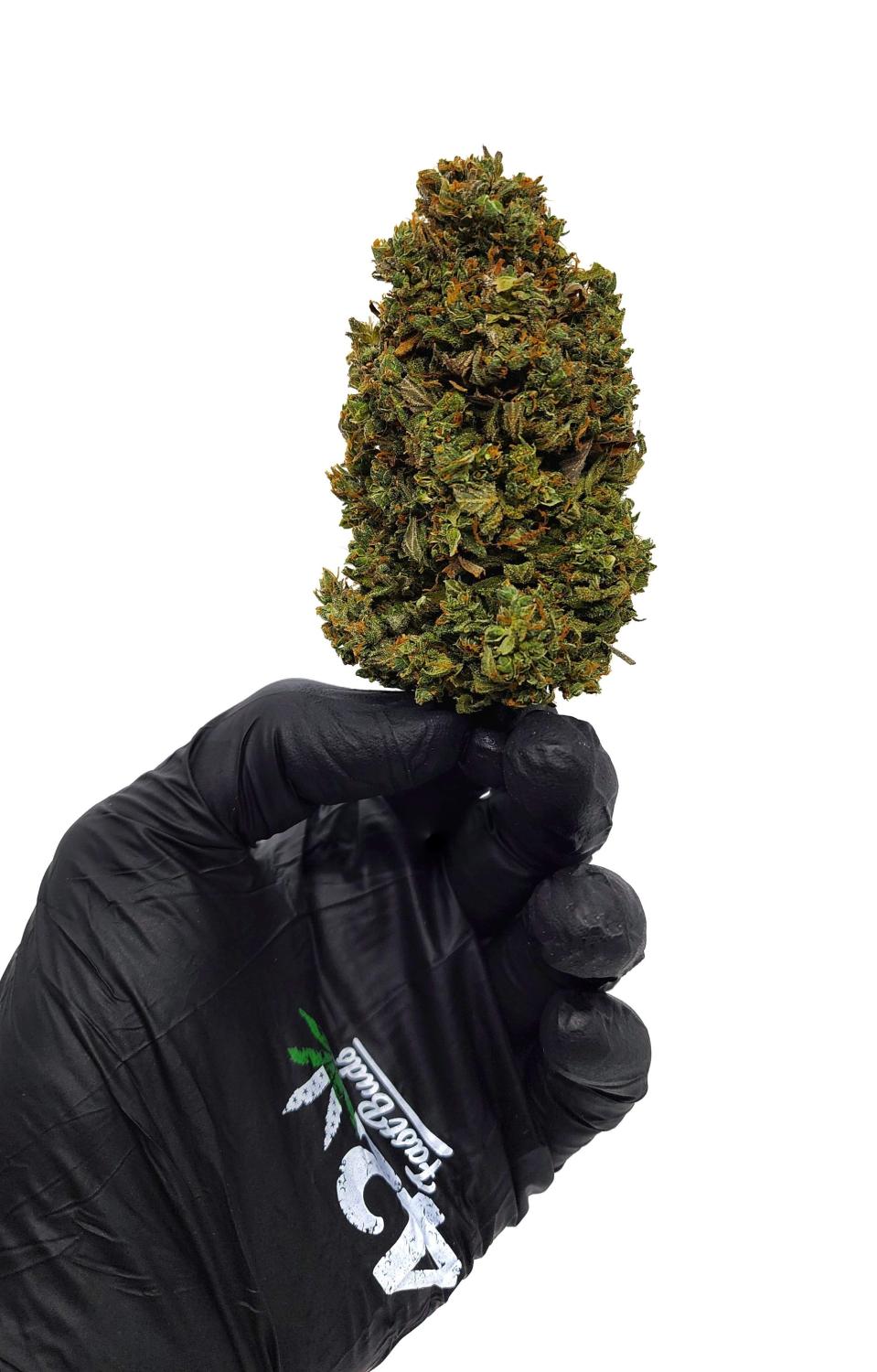 CBD 20:1 Auto Fem Esrar Tohumu (Fast Buds)