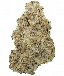 Cel-Ray, yakıtımsı aroması ve enerji veren sativa etkileriyle bilinen özel bir türdür. Yorgunluk ve stresi azaltmaya yardımcı olabilir. Hemen keşfedin.