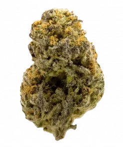 Cellar Stash, üzüm aromaları ve THC içeriğiyle öne çıkan dengeli bir hibrit türdür. Yaratıcılığı artıran bu türün genetik yapısını keşfedin.