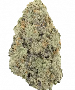 Celosa, tatlı çilek aromaları ve dengeli etkileriyle öne çıkan Indica ağırlıklı bir türdür. Anksiyete ve stres için ideal. Genetik yapısını keşfedin.