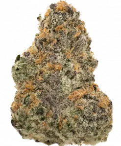 Cereza Dummiez, yakıtımsı ve meyvemsi aromalarıyla öne çıkan Indica ağırlıklı bir türdür. Rahatlatıcı etkileriyle bilinir. Genetik yapısını keşfedin ve detayları görüntüleyin.