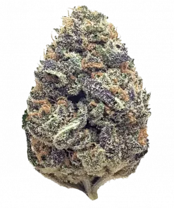 Chaos Cake Auto, tatlı böğürtlen aroması ve THC ile öne çıkan Indica dominant bir türdür. Yüksek verimli bu türün genetik yapısını keşfedin.