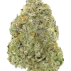Chaos Kush, limon aroması ve yüksek THC içeriğiyle bilinen Indica dominant bir türdür. Rahatlatıcı etkileriyle öne çıkar. Genetik yapısını keşfedin.
