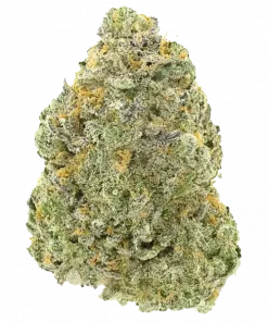 Chaos Kush, limon aroması ve yüksek THC içeriğiyle bilinen Indica dominant bir türdür. Rahatlatıcı etkileriyle öne çıkar. Genetik yapısını keşfedin.