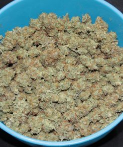 Cheese Auto Fem Esrar Tohumu (Fast Buds)