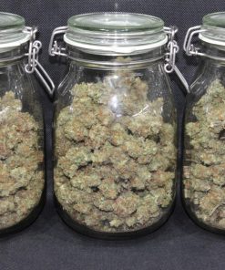 Cheese Auto Fem Esrar Tohumu (Fast Buds)