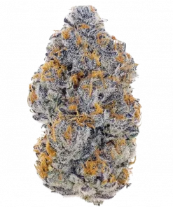 Cheese King, keskin peynir aroması ve yüksek THC içeriğiyle bilinen dengeli bir hibrit türdür. Louie XIII OG genetiğiyle gelen bu özel türü keşfedin.