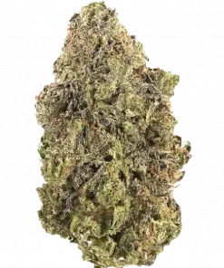 Cheese Marmalade, böğürtlen aroması ve dengeli etkileriyle öne çıkan hibrit bir türdür. Yaratıcılığı artıran ve rahatlama sağlayan bu türü keşfedin.