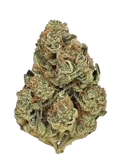 Cheese, sert aroması ve rahatlatıcı etkisiyle bilinen dengeli bir türdür. Orta-yüksek THC seviyesiyle öne çıkar. Bu eşsiz türü hemen keşfedin.
