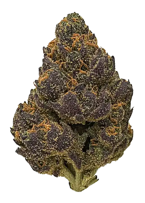 Cheesecake, tatlı cheesecake aroması ve rahatlatıcı etkileriyle bilinen Indica dominant bir türdür. Yüksek THC içeriğiyle öne çıkar. Bu eşsiz türü keşfedin.