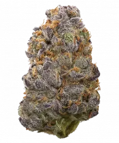 Cheetah Fat, sert yakıtımsı aroması ve yüksek THC içeriğiyle bilinen Indica dominant bir türdür. Derin rahatlama ve mutluluk için genetik yapısını keşfedin.