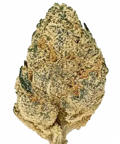 Chem Cookies, yakıtımsı aroması ve yüksek THC içeriğiyle öne çıkan Indica baskın türdür. Rahatlatıcı etkileriyle bilinen bu türün genetik yapısını keşfedin.