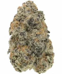 Chem Funk R1, yakıtımsı aroması ve yüksek THC içeriğiyle öne çıkan Indica dominant bir türdür. Depresyon ve stresi azaltan etkilerini keşfedin.