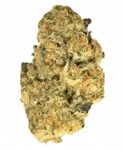 Chem Kong, sert yakıtımsı ve narenciye aromalarıyla öne çıkan Indica baskın bir türdür. Yüksek THC içeriğiyle rahatlatıcı etkilerini keşfedin ve genetik yapısını görüntüleyin.