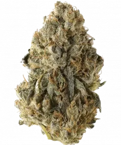 Chem Lem, kimyasal limon aroması ve yüksek THC içeriğiyle bilinen bir hibrit türdür. Enerjik etkileriyle öne çıkar. Benzersiz genetik yapısını keşfedin.