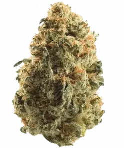 Chem Tini, sert yakıtımsı aroması ve yüksek THC içeriğiyle bilinen bir hibrit türdür. Stardawg genetiğiyle benzersiz etkilerini keşfedin ve detaylıca görüntüleyin.