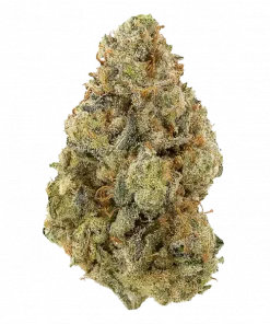 Chemberries (Chem Berry), yakıtımsı aroması ve yüksek THC içeriğiyle öne çıkan Sativa baskın bir türdür. Enerji verici etkilerini keşfedin ve hemen inceleyin.