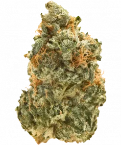 Chem 91, yakıtımsı aroması ve yüksek THC içeriğiyle bilinen sativa baskın bir türdür. Enerji verici etkilerini keşfedin ve genetik yapısını görüntüleyin.