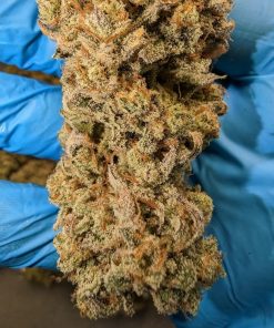 Chemdawg Auto Fem Esrar Tohumu (Fast Buds)