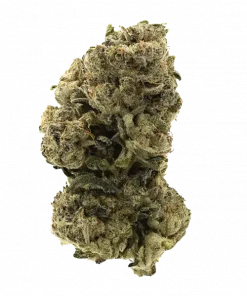 Chemex, sert yakıtımsı ve narenciye aromalarıyla öne çıkan Sativa baskın bir türdür. Yüksek THC içeriğiyle yaratıcılığı artırır. Etkilerini keşfedin.