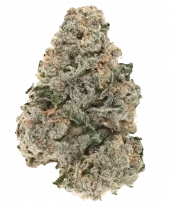 Chernobyl, keskin narenciye aromaları ve enerjik etkileriyle öne çıkan Sativa baskın bir türdür. Trainwreck genetiğiyle eşsiz deneyimi keşfedin ve hemen görüntüleyin.