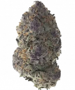 Cherry Abba Zabba, kiraz ve vanilya aromalarıyla öne çıkan dengeli bir hibrit türdür. Yaratıcılığı artırır ve rahatlama sağlar. Etkilerini keşfedin.