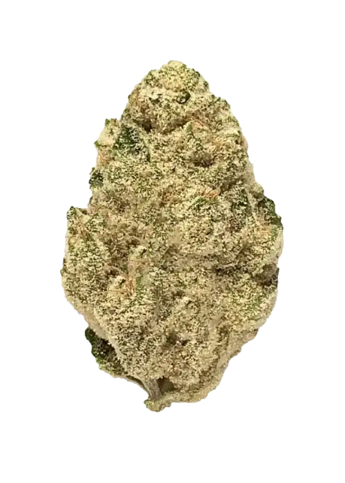 Cherry AK-47, kiraz aroması ve yüksek THC içeriğiyle öne çıkan Sativa baskın bir türdür. Mutluluk verici etkileriyle bilinir. Özelliklerini keşfedin.