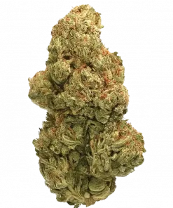 Cherry Band, tatlı kiraz aroması ve dengeli etkileriyle öne çıkan hibrit bir türdür. Yaratıcılığı artırır ve rahatlama sağlar. Bu eşsiz türü keşfedin.