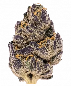 Kiraz Çiçeği, tatlı meyve aromaları ve 'ye varan THC içeriğiyle bilinen Indica dominant bir türdür. Depresyon ve anksiyeteye karşı potansiyel faydalarını keşfedin.