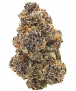 Cherry Bounce, yüksek THC'si ve belirgin kiraz aromasıyla öne çıkan dengeli bir hibrit türdür. Depresyon ve yorgunluğa iyi gelir. Tüm özelliklerini keşfedin.