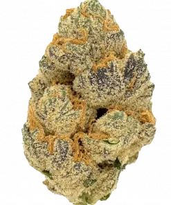 Cherry Cheesecake, peynir ve böğürtlen aromalarıyla öne çıkan Indica dominant bir türdür. Yüksek THC içeriğiyle rahatlatıcı etkilerini keşfedin ve genetik yapısını inceleyin.