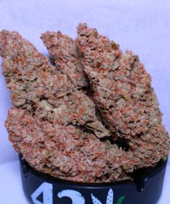 Cherry Cola Auto Fem Esrar Tohumu (Fast Buds)