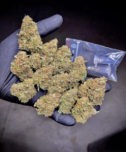 Cherry Cola Auto Fem Esrar Tohumu (Fast Buds)