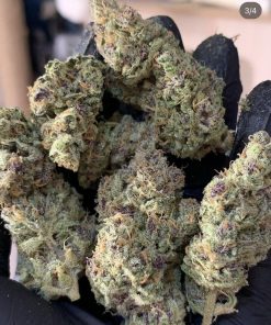 Cherry Cola Auto Fem Esrar Tohumu (Fast Buds)