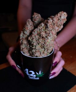 Cherry Cola Auto Fem Esrar Tohumu (Fast Buds)