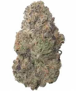 Cherry Cola Auto RF3, yakıtımsı aroması ve dengeli etkisiyle öne çıkan bir hibrit türdür. Yüksek verim ve kolay yetiştirme özelliklerini keşfedin. Hemen inceleyin.