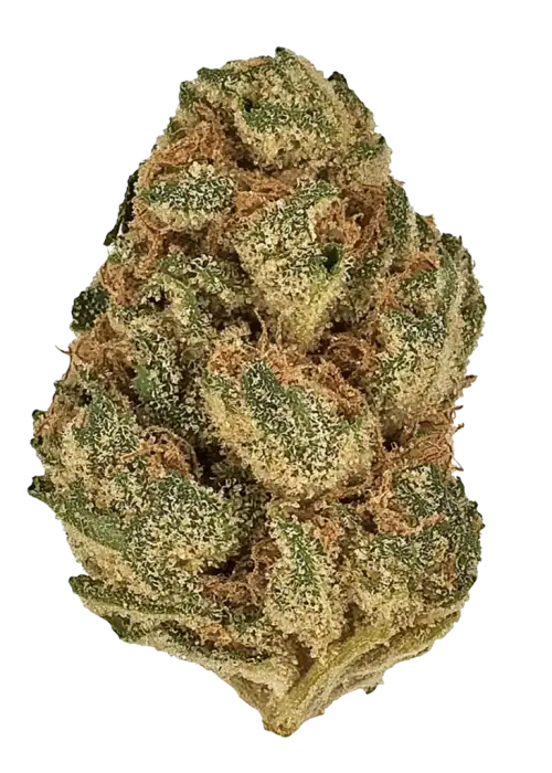 Cherry Cookies, tatlı kiraz aroması ve rahatlatıcı etkileriyle bilinen indica dominant bir türdür. Dengeli yapısıyla öne çıkar. Özelliklerini keşfedin.