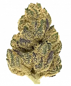 Cherry Do-Si-Dos, kiraz aroması ve THC ile öne çıkan dengeli bir hybrid türdür. Sakinleştirici ve keyifli etkilerini keşfedin. Hemen görüntüleyin.