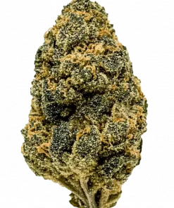 Cherry Fritters, kiraz aroması ve THC ile öne çıkan dengeli bir hibrit türdür. Ağrı ve uykusuzluğa iyi gelir. Bu eşsiz türü keşfedin.