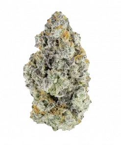 Cherry Garcia, tatlı orman meyveleri aroması ve dengeli genetiğiyle öne çıkan bir hibrit türdür. Yüksek verim potansiyelini ve etkilerini keşfedin.