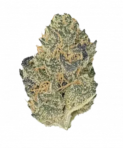 Cherry Gas, yakıtımsı aroması ve yüksek THC içeriğiyle bilinen Indica baskın bir türdür. Spazmlar ve uykusuzluğa iyi gelir. Genetik yapısını keşfedin.